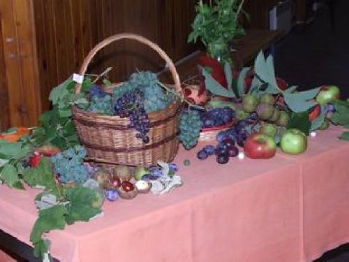 Výstava jesenných plodov