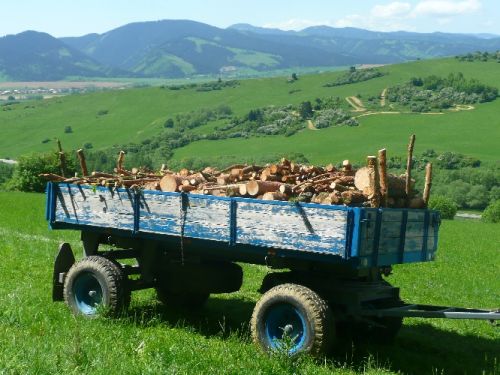 Palivové drevo-Šikulová Dana Galovany č.76