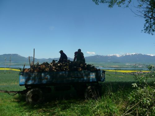 Palivové drevo-Ján Fiačan Galovany č.10 rok 2012